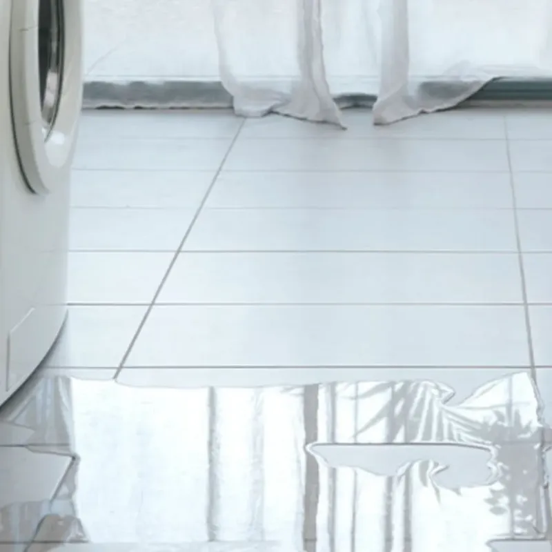 Appliance Leak Cleanup in Brighton, TN