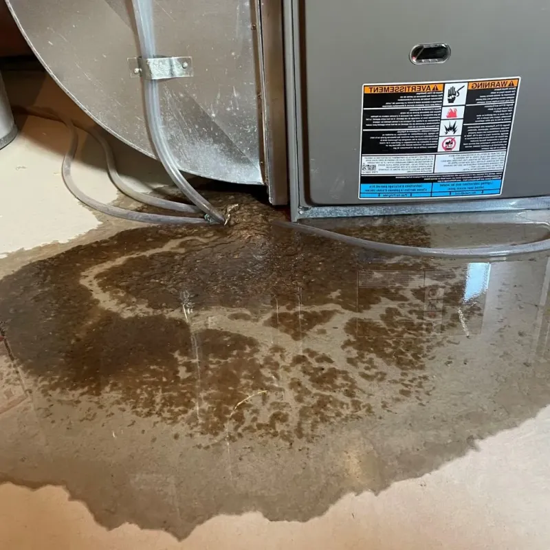 Pipe Burst and Leak Restoration in Brighton, TN