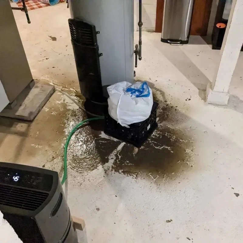 Sewage Backup Cleanup Service in Brighton, TN
